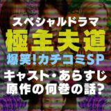 スペシャルドラマ『極主夫道 爆笑!カチコミSP』のカバー画像