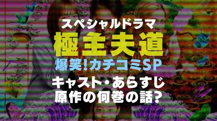 スペシャルドラマ『極主夫道 爆笑!カチコミSP』のカバー画像